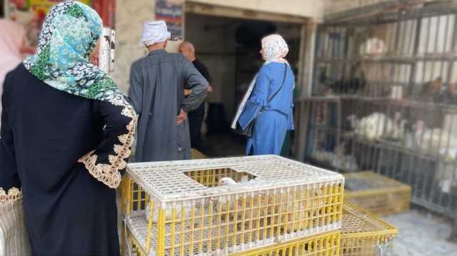 سيناريوهات متشائمة.. ماذا ينتظر المصريين بعد فوز السيسي بولاية ثالثة؟