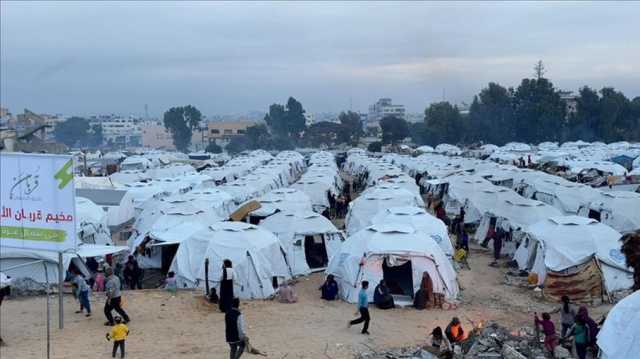 مؤرخ إسرائيلي: ما يحدث في غزة إبادة جماعية رغم محاولات الإنكار