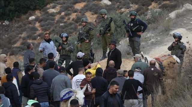مستوطنون يهاجمون بلدات فلسطينية بالضفة ويتلفون محاصيل الذرة بالأغوار