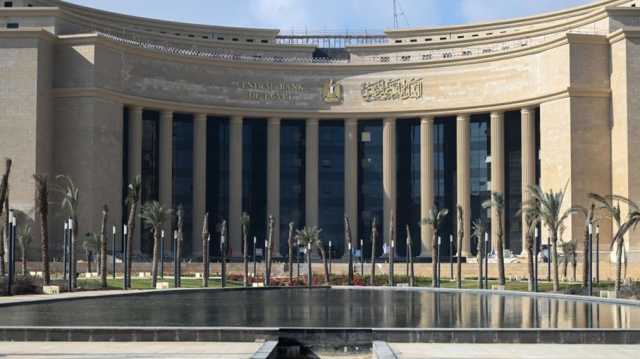 كيف ستحل مصر أزمة خدمة ديون 2025؟.. أرقام كبيرة