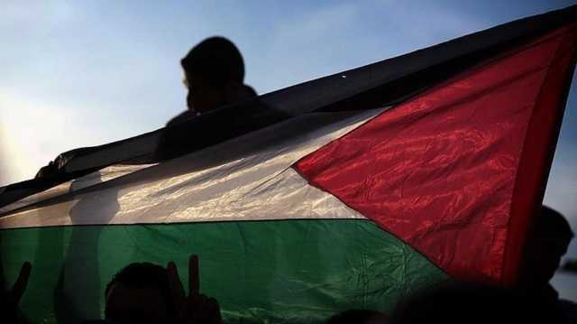 هل أصبح الهتاف لفلسطين ورفع علمها عملا مجرّما في مصر؟