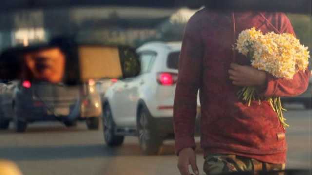 من قلب إدلب.. طفلة سورية تقاوم لتعيش بأزهار النرجس (شاهد)