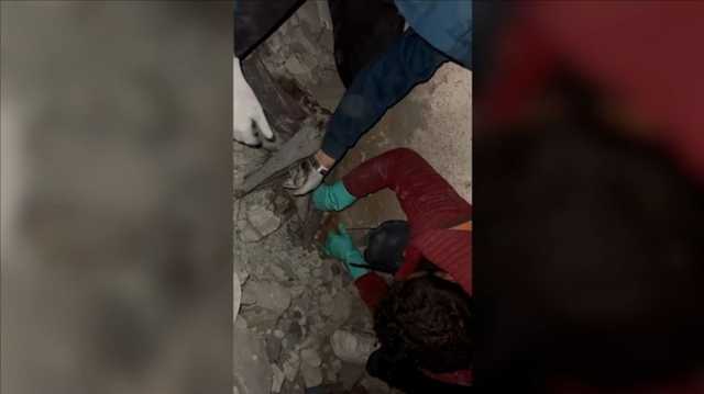 طواقم الدفاع المدني تنجح في إنقاذ قطة من تحت الأنقاض بغزة (شاهد)