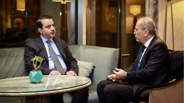 وزير الخارجية الأردني يحذر من تبعات كارثية جراء الاعتداءات الإسرائيلية على سوريا