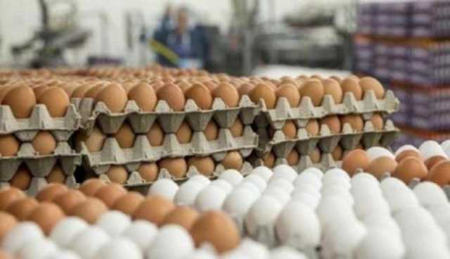 بسكرة: حجز 15 ألف بيضة دجاج فاسدة بالقنطرة