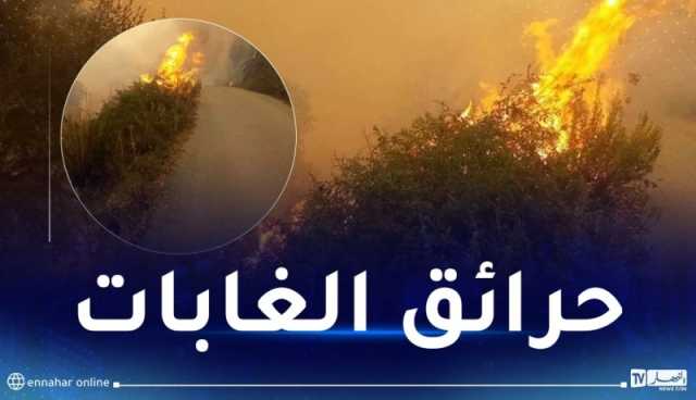 هكذا دفع أعضاء من حركة “ماك” أموالا لحرق غابات “بونيهي” بالشلف