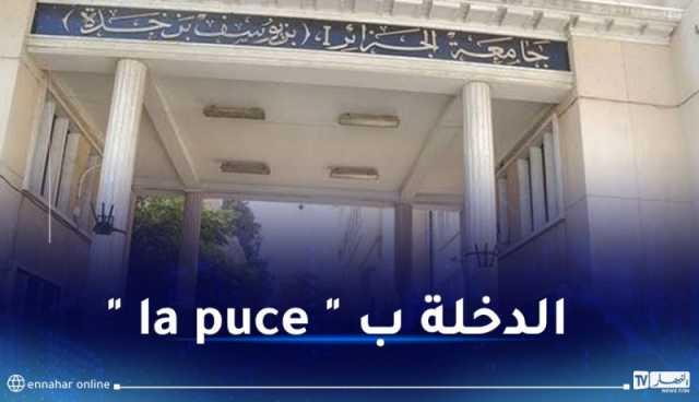 الجامعات وقاعات التدريس.. الدخول دون شريحة ممنوع !