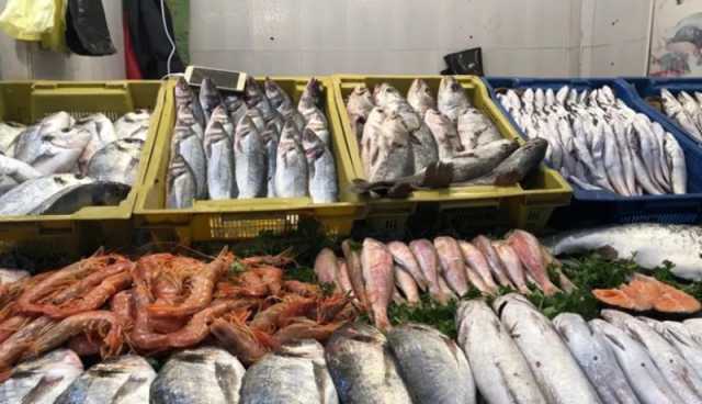 تحسبا لرمضان.. 174 نقطة لبيع الأسماك من المنتج إلى المستهلك