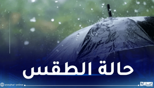 ضباب وبرد شديد.. هذه حالة الطقس غدا السبت