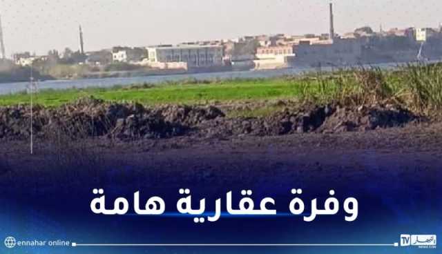 ركاش: 600 عقار قابل للإستثمار.. 3700 هكتار محل تحري لاستغلالها