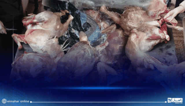تيارت.. ضبط أكثر من نصف قنطار من اللحوم البيضاء والحمراء الفاسدة بقصابات المدينة