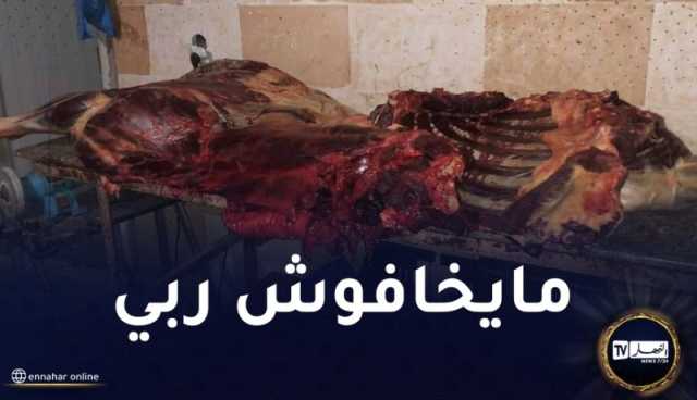 إكتشاف مذبح سري للأحمرة بعين الترك في وهران