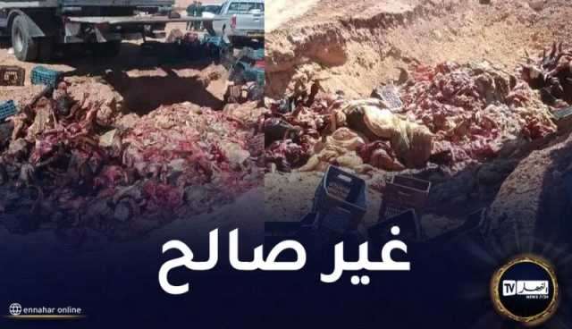 البيض: حجز 91 قنطار من الأحشاء ورؤوس البقر من سلالة الدرباني وغنم سيداون