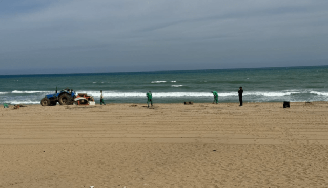 ديدوش: أولوية تسيير الشواطئ ستمنح للمهنيين خلال موسم الاصطياف القادم