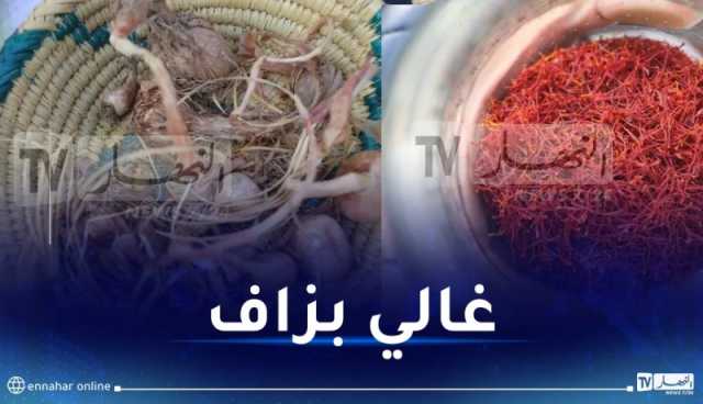 يصل إلى 250 مليون سنتيم.. هذه أسعار الزعفران في الجزائر