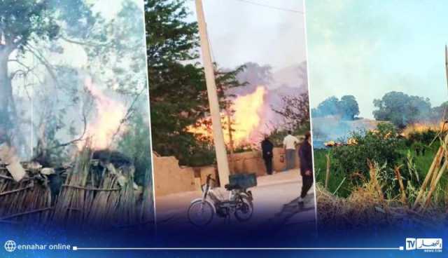 إصابة شخصين بعد حريق شبّ في 6 بساتين بالعين الصفراء في النعامة