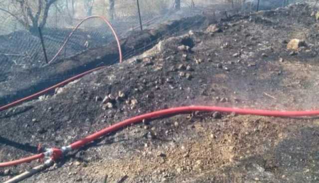 المسيلة: حريق يلتهم هكتارًا من بستان بقرية الانشاش بالمعاضيد