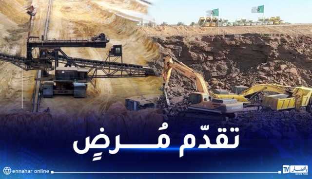 الرئيس تبون يثمن المجهودات المبذولة في الميدان لتجسيد مشروع منجم “غارا–جبيلات”