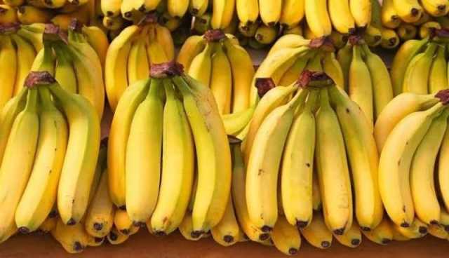 الدولة تتدخل.. وتستورد 10 آلاف طن من الموز لخفض الأسعار