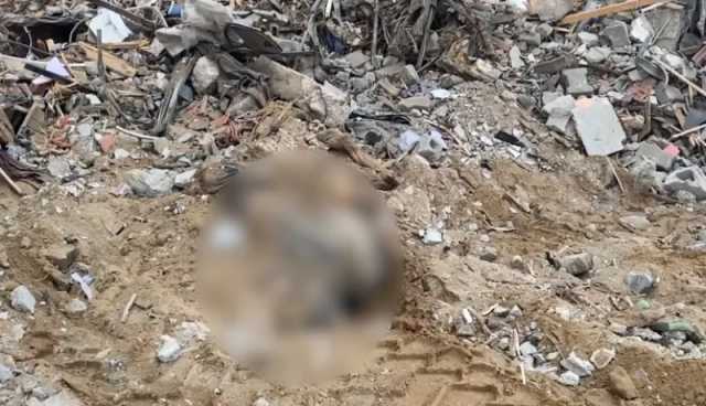 مبادرة الجزائر: مجلس الأمن يدعو لتحقيق مستقل في المقابر الجماعية بغزة