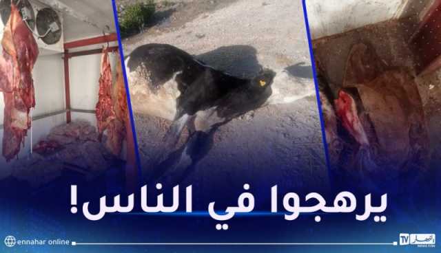 توقيف 3 أشخاص وحجز 20 قنطار من اللحوم بقسنطينة