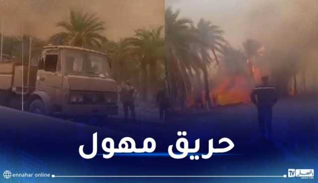 إندلاع حريق مهول بغابة عين البيضاء في ورقلة