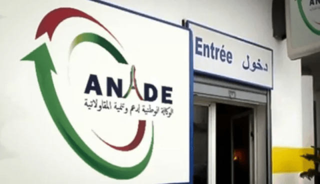 تسجيل 414 ألف مشروع مؤسسة مصغرة