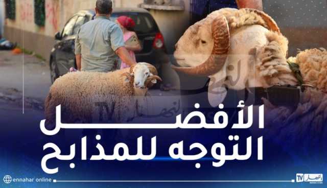 تجنيد 2500 بيطري لمراقبة عملية بيع وذبح الأضاحي
