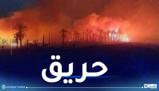 إخماد حريق أشجار النخيل بتقرت كُليا