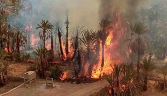 المغير.. حريق بغابات نخيل بمخرج مدينة جامعة