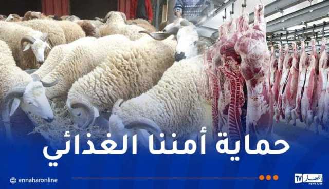 الرئيس تبون يتحدث عن إرتفاع أسعار اللحوم وسوق المواشي