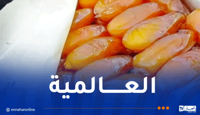 دقلة نور الجزائرية تتصدر قائمة أجود أنواع التمور في العالم
