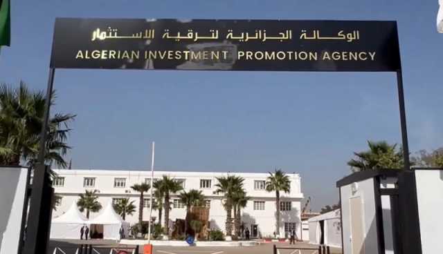 بقيمة 4.5 مليار دولار..تسجيل 42 مشروعا استثماريا صينيا