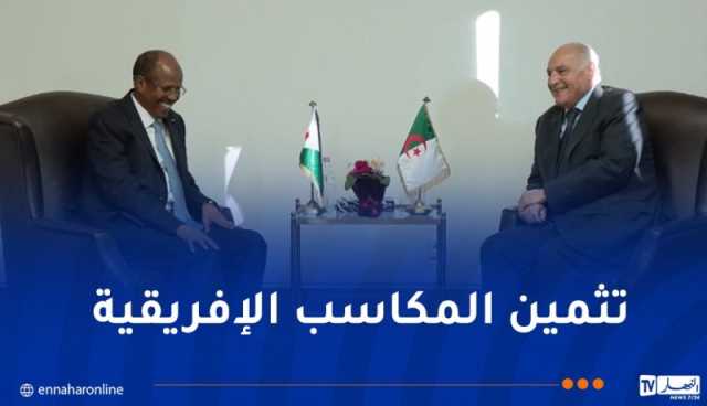 وزير الخارجية يتحادث مع نظيره الجيبوتي