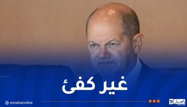 بعد عملية ماغدبورغ.. إيلون ماسك يطالب مستشار ألمانيا بالإستقالة