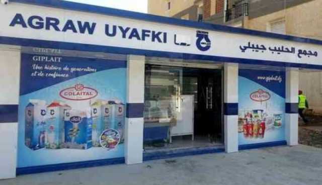 من بينها كندا.. مجمع “جيبلي” يعتزم الشروع قريبا في تصدير الأجبان