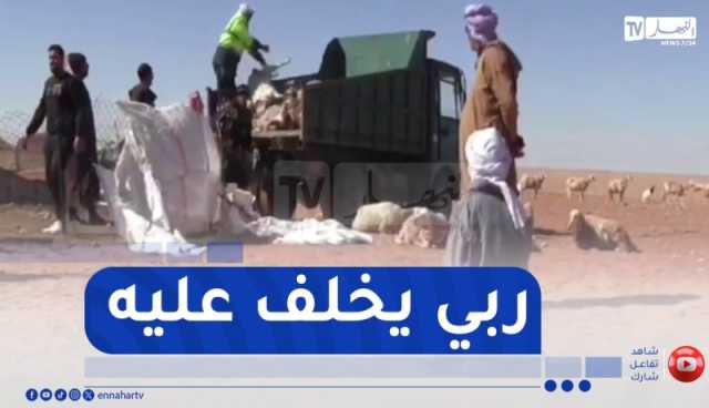 مشاهد مؤلمة لموال يودع أغنامه بعد نفوقها بالنعامة