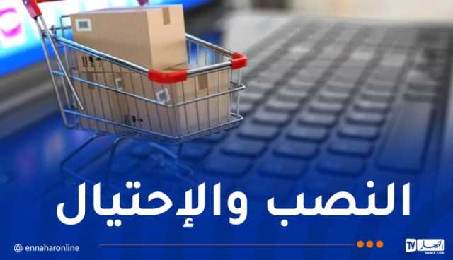 1387 قضية نصب إلكتروني في 2024