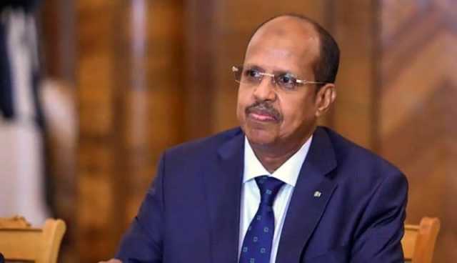 الرئيس تبون يهنئ محمود علي يوسف رئيس مفوضية الإتحاد الإفريقي