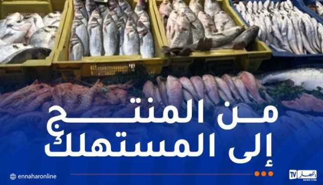 أكثر من 200 نقطة بيع لمنتجات الصيد البحري