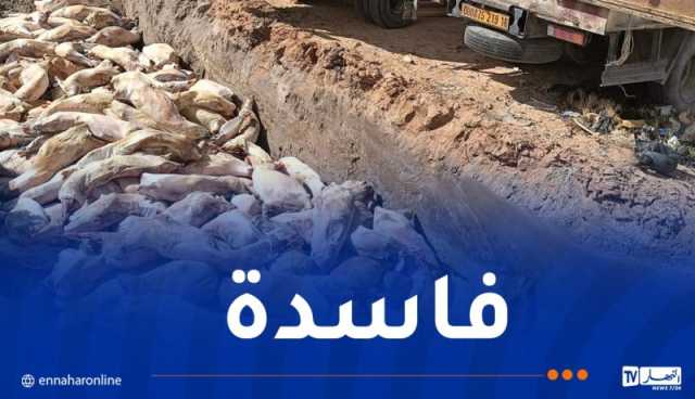 الجلفة: إتلاف 691 هيكل للحم خروف مستورد