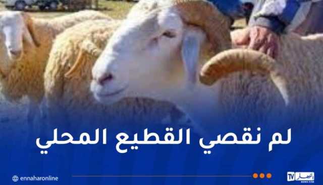 وزير الفلاحة: حصة كل ولاية من المواشي سيتم وفقا للكثافة السكانية