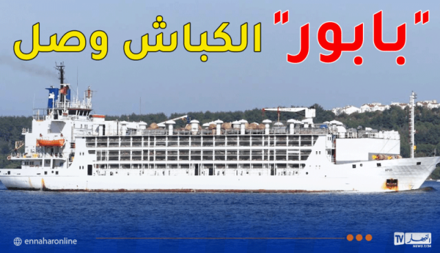 وصول أوّل باخرة محملة بأضاحي العيد من رومانيا إلى ميناء الجزائر