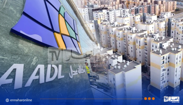 بيان جد هام للمسجلين في “عدل 3”