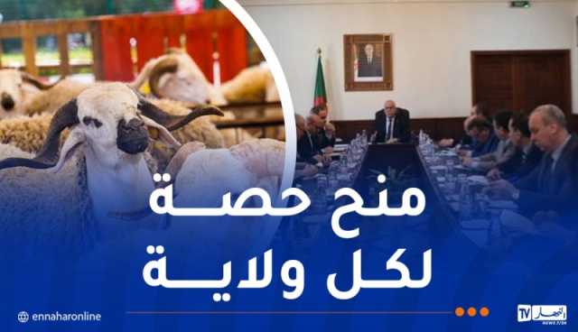 نقاط بيع أضاحي العيد وطريقة الشراء..وزير الفلاحة يعطي التفاصيل
