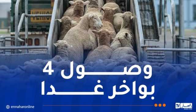 وصول 15 ألف كبشا من رومانيا مساء غد