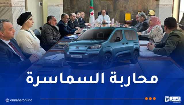 عقد اجتماع بين 4 وزارات والدرك لمواجهة ظاهرة المضاربة بسيارات فيات الجزائر