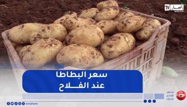في ظل غلاء البطاطا في الأسواق..هذا هو سعرها عند الفلاح !