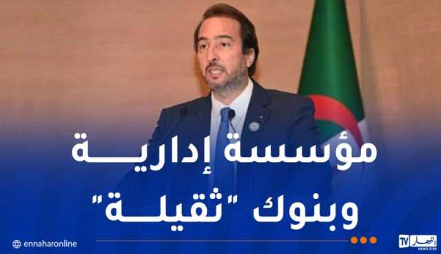 كمال مولى: نعاني من بيروقراطية الإدارة.. وملفات المستثمرين لا تُعالج في وقتها وأحيانا تبقى بلا رد