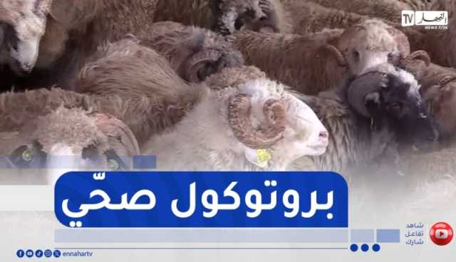 شاهد..”كباش رومانيا” من عملية الحجر الصحي